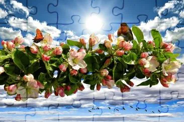 bello jigsaw puzzle