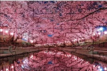 cerezo4 jigsaw puzzle