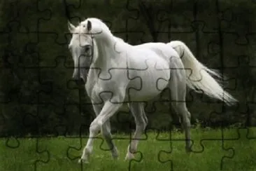 Imagem jigsaw puzzle