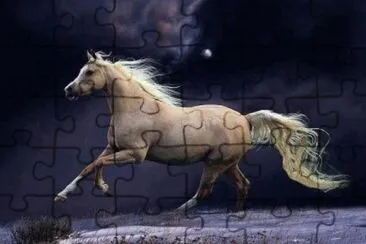 Imagem jigsaw puzzle