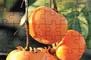 frutas jigsaw puzzle