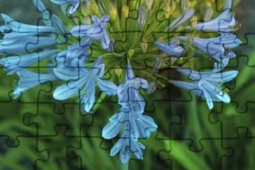 Imagem jigsaw puzzle
