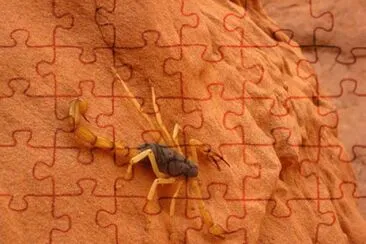 Imagem jigsaw puzzle