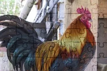 Imagem jigsaw puzzle
