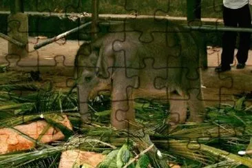 Imagem jigsaw puzzle