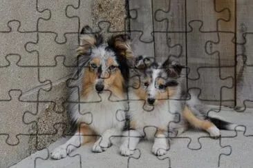 Imagem jigsaw puzzle