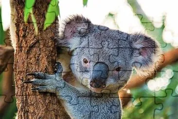 natural jigsaw puzzle