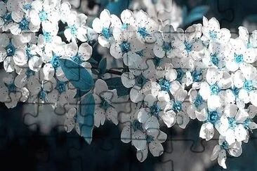 flores jigsaw puzzle