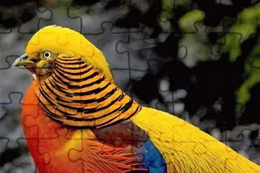 natural jigsaw puzzle