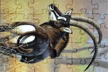natural jigsaw puzzle