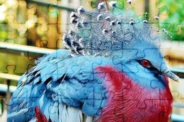 natural jigsaw puzzle