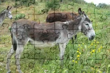 Grigio siciliano jigsaw puzzle