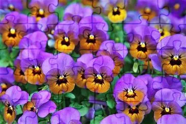 flores jigsaw puzzle