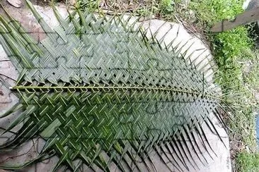 arte