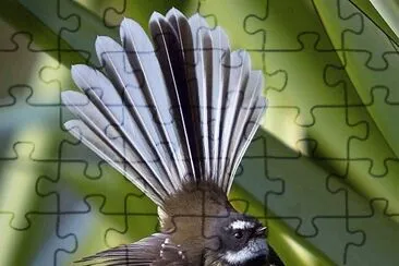פאזל של natural