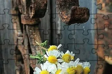 flores