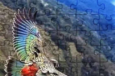 natural jigsaw puzzle