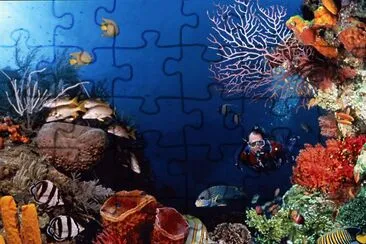 HI Kosh in SCUBA jigsaw puzzle