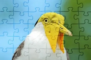 פאזל של Imagem