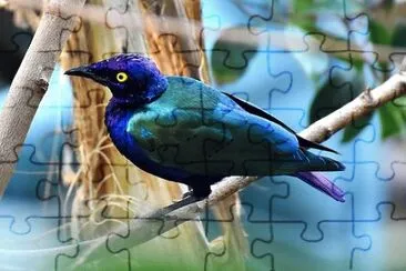 Imagem jigsaw puzzle