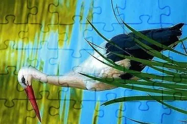natural jigsaw puzzle