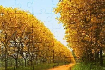 natural jigsaw puzzle