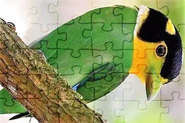 natural jigsaw puzzle