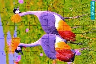 cores jigsaw puzzle