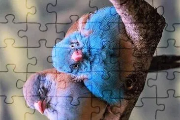 natural jigsaw puzzle
