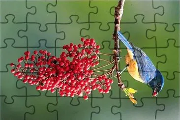 natural jigsaw puzzle