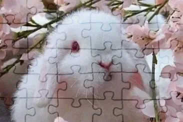 conejo jigsaw puzzle