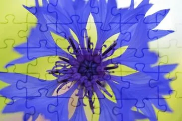 Imagem jigsaw puzzle