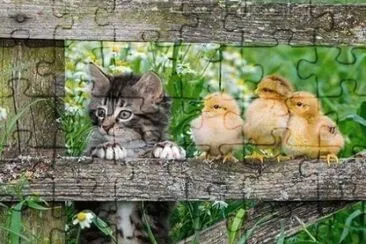 pss jigsaw puzzle