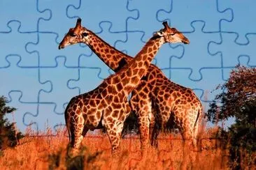 ×—×™×•×ª jigsaw puzzle