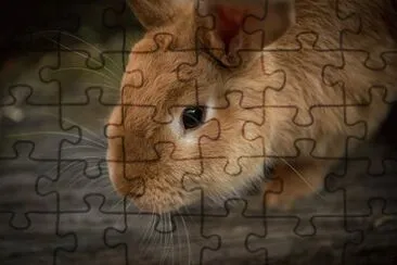 Imagem jigsaw puzzle