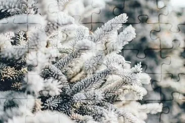 Imagem jigsaw puzzle