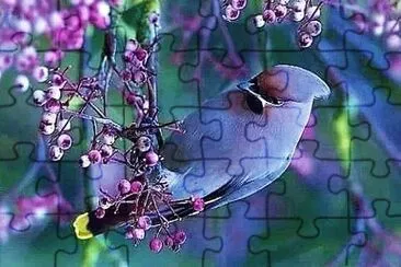 natural jigsaw puzzle