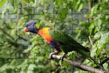  jigsaw puzzle