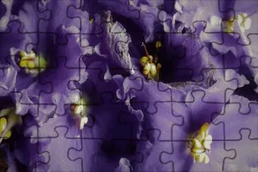flores jigsaw puzzle