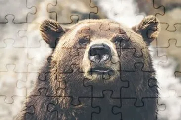  jigsaw puzzle