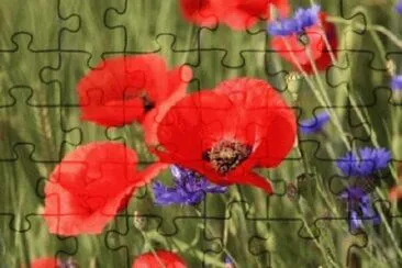 OK jigsaw puzzle