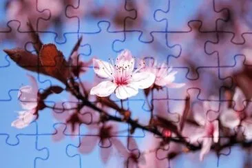 OK jigsaw puzzle