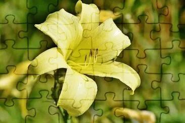 OK jigsaw puzzle
