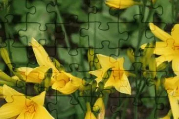 OK jigsaw puzzle