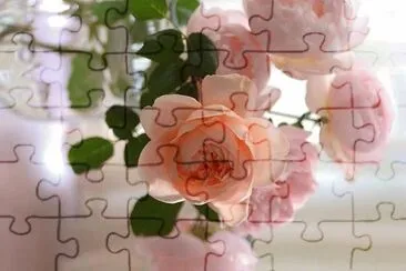 flores jigsaw puzzle
