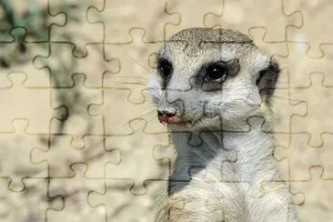 Imagem jigsaw puzzle