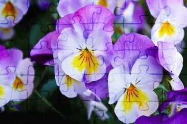 OK jigsaw puzzle