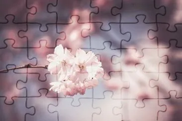 OK jigsaw puzzle