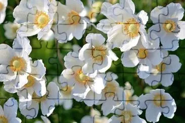 OK jigsaw puzzle