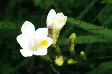 OK jigsaw puzzle